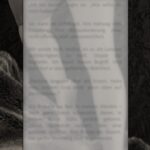 Folie6