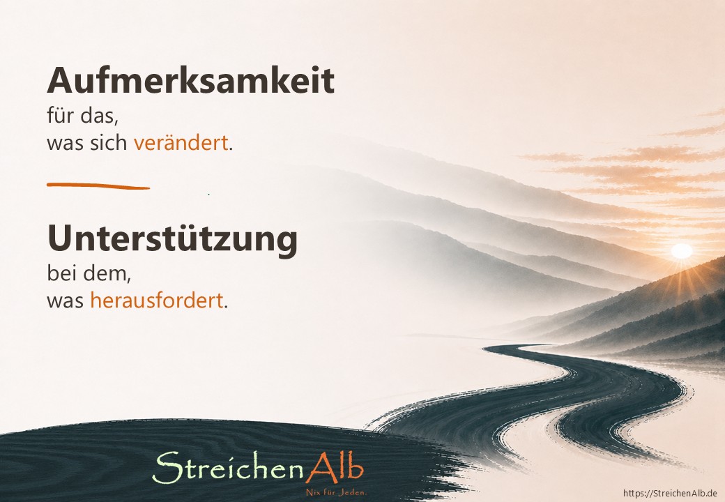 Flyer-S1