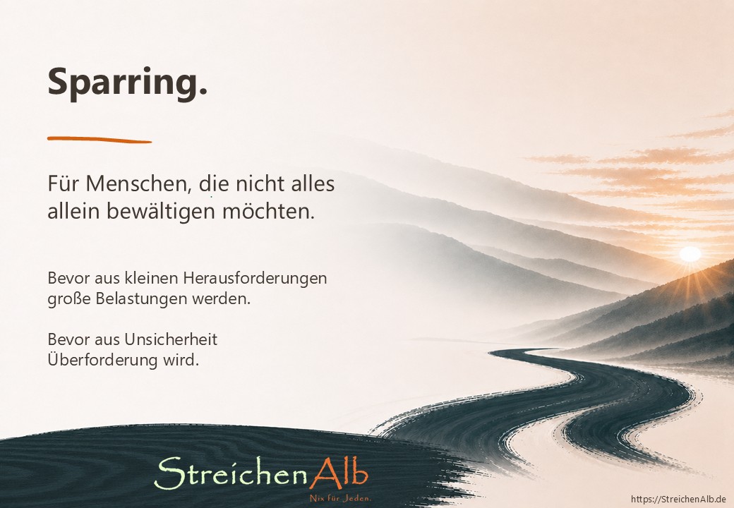 Flyer-S3